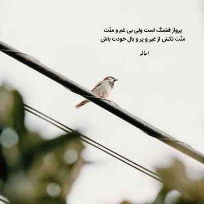 آهنگ طغیان علی سورنا امیر ریبار بهرام و حصین ریمیکس