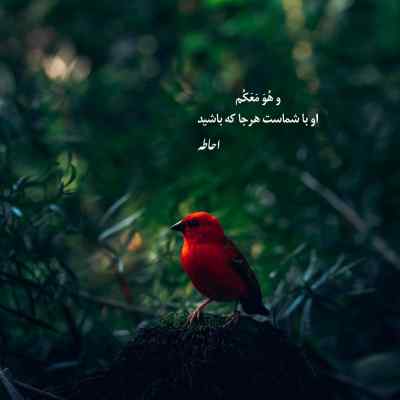 آهنگ میشه برگردی ناجی و علی سورنا و حصین و بهرام ریمیکس