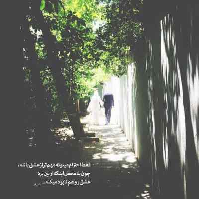 آهنگ انقدر هارم که چیزی نمیکنه اذیتم ریمیکس
