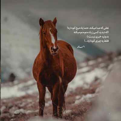 آهنگ یعنی مامی چی میگه اگه بفهمه که دوست پسرم فیریکه