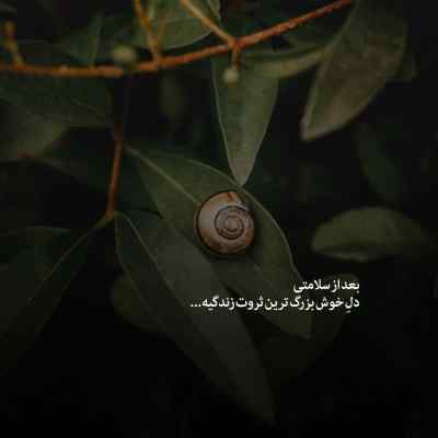 آهنگ کلبه غم مهدی سلطانی پوری علی سورنا شایع و ناجی ریمیکس