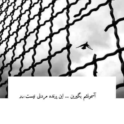 آهنگ کلاشینکف پیشرو شایع خلوت هیپهاپولوژیست ویناک امیر تتلو ریمیکس
