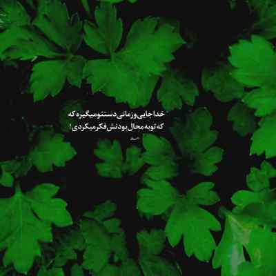 آهنگ قد بلند ناز نازم هم چیت باب دلم محمود درزاده