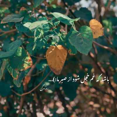 آهنگ سه شنبه سرد مرتضی پاشایی ناجی مسلک علی سورنا سینا ساعی پوتک ریمیکس