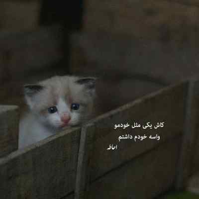 آهنگ ناز داره فاطمه نصرالله واحدی دانلود