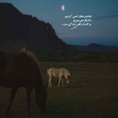 آهنگ وست ساید گوچی فلیم هودادکا ایسین دانیال هیپهاپولوژیست ریمیکس