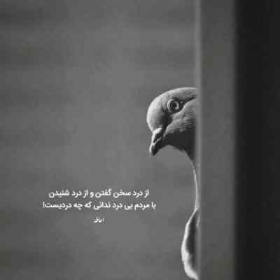 آهنگ شرط میبندم مهدی احمدوند هوش مصنوعی ریمیکس