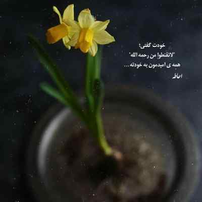 آهنگ مروارید دلم تویی تویی حالمو تو میتونی خوب کنی ریمیکس