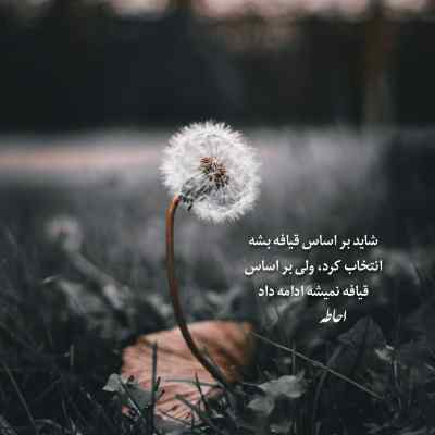 آهنگ ندیدی رضا پیشرو علی سورنا ناجی بهرام ریمیکس