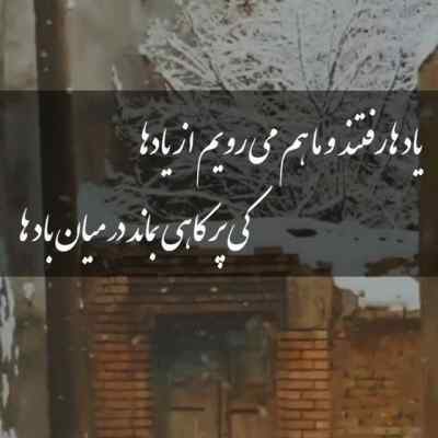 آهنگ علی زندوکیلی شگرد دانلود کیفیت اصلی