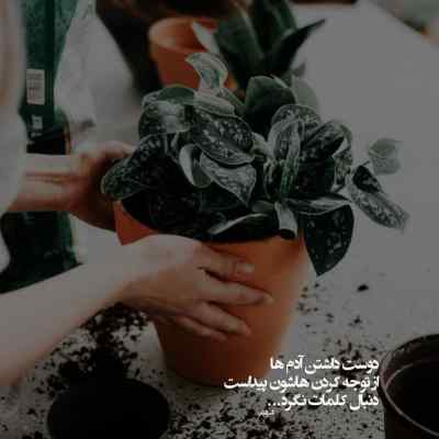 آهنگ ترامپ ترند اینستاگرام صل علی سه ترکه