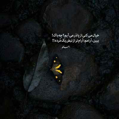 آهنگ اهل دل یاس مهیاد مسین پوتک هایده ریمیکس