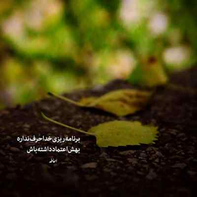 آهنگ یار بلا یار بلا بلای جون منی باقلوا