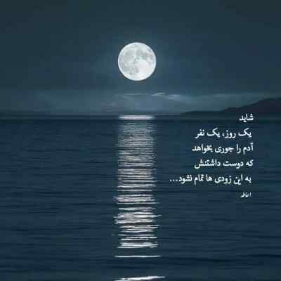 آهنگ Bobcat آرتا کوروش پوبون مهراد هیدن ریمیکس