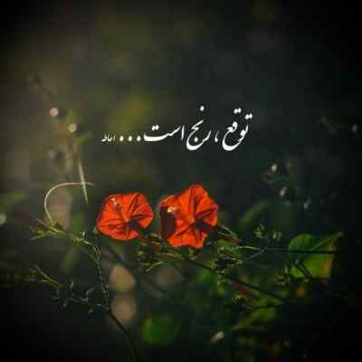 آهنگ یار بلا یار بلا بلای جون منی باقلوا