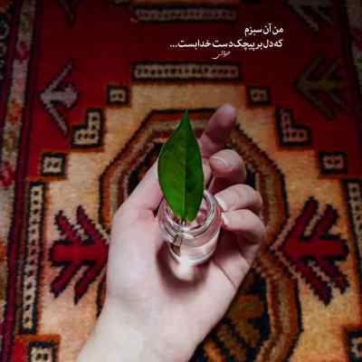 آهنگ دراگ مهیار دانیال مسلک سورنا مهیاد تتلو ریمیکس