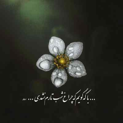 آهنگ حامیم پناه هوش مصنوعی