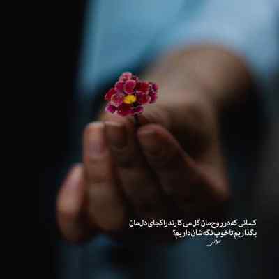 آهنگ فرشاد آزادی مس هزار دانلود