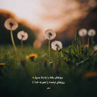 آهنگ حامیم پناه هوش مصنوعی