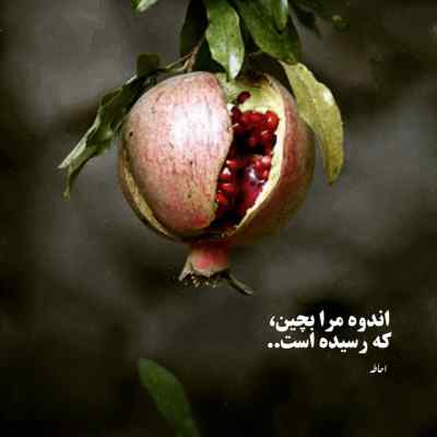 آهنگ مرگ ۳ مسلک دانیال پیشرو علی سورنا پوری تتلو ریمیکس
