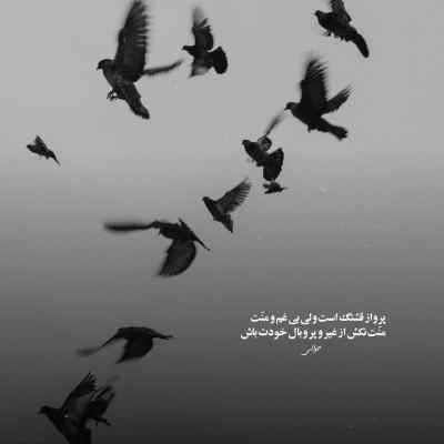 آهنگ عرفان ابرا منو بفهم دانلود