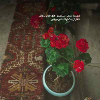 آهنگ رست مود حصین 021 کید ریبار گاد پوری داریوش کوروش پوتک ریمیکس