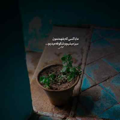 آهنگ دراگ مهیار دانیال مسلک سورنا مهیاد تتلو ریمیکس