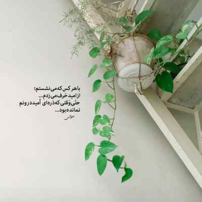 آهنگ پژمرده ریبار سورنا سجاد شاهی شایع بهرام مهیاد دانیال ریمیکس