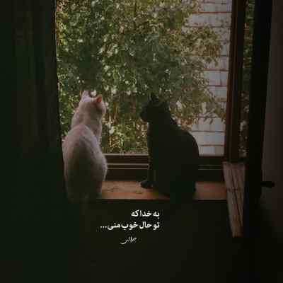 آهنگ دیجی مسی آر کی نایت لایف 15 ریمیکس