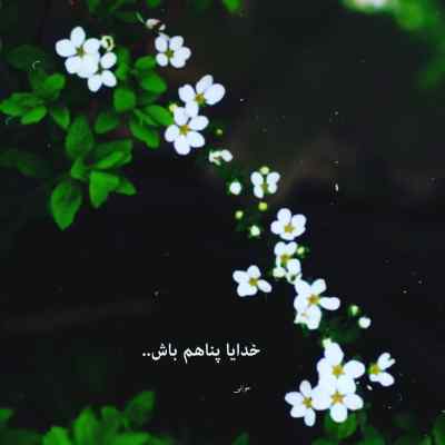 آهنگ بولت ناجی سهراب ام جی شایع پیشرو هیپهاپولوژیست تتلو ریمیکس