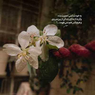 آهنگ یانگ صادن خلسه بام بد دانلود کیفیت 320