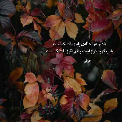 آهنگ روزگار غمت نصیب من شد فرهاد خداشناس