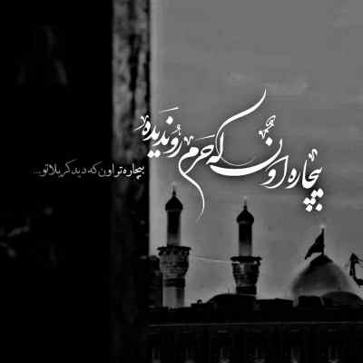 مداحی به ما میگن دیوونه ذاکر