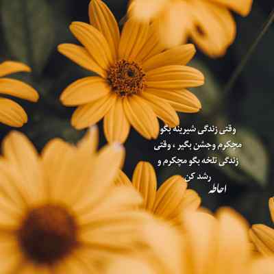 آهنگ بگذر ز من ای آشنا آرتا و سارن