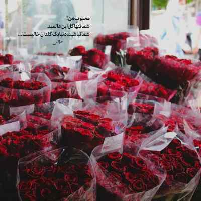 آهنگ جسمش دختر ولی روحش یه مرده