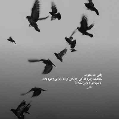 آهنگ نعره ام بکشی ساکتم من با صدای نجفی و عرفان